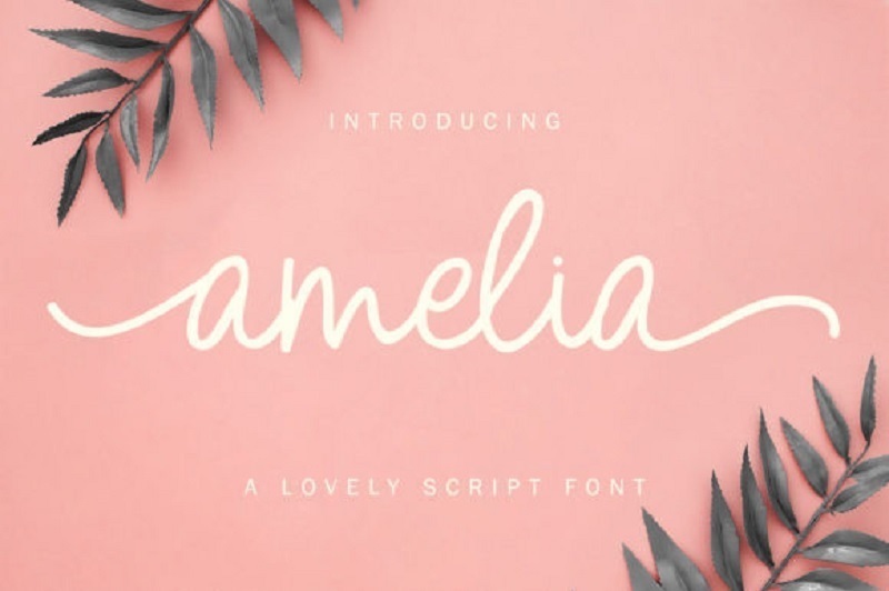 amelia-script-font